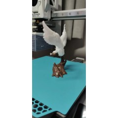 Hedwig