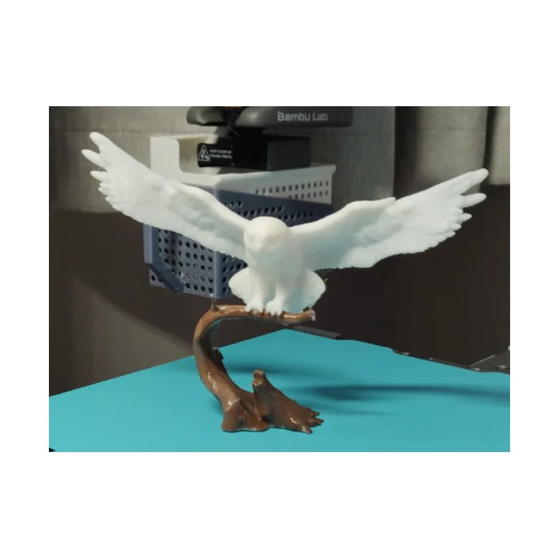 Hedwig
