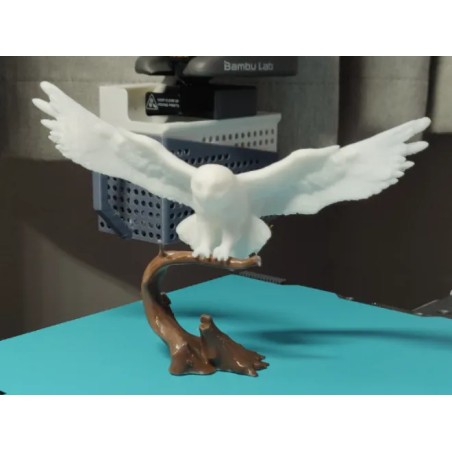 Hedwig