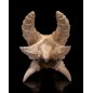 Epic Red Dragon Skull Epic Red Dragon Skull