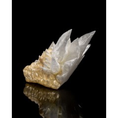 Diamond Dragon Skull