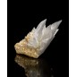 Diamond Dragon Skull Diamond Dragon Skull